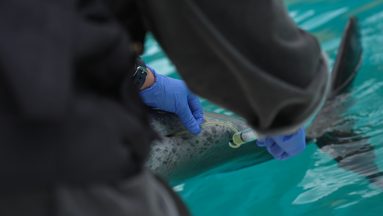 一張含有 人員, 游泳, 水 的圖片
自動產生的描述