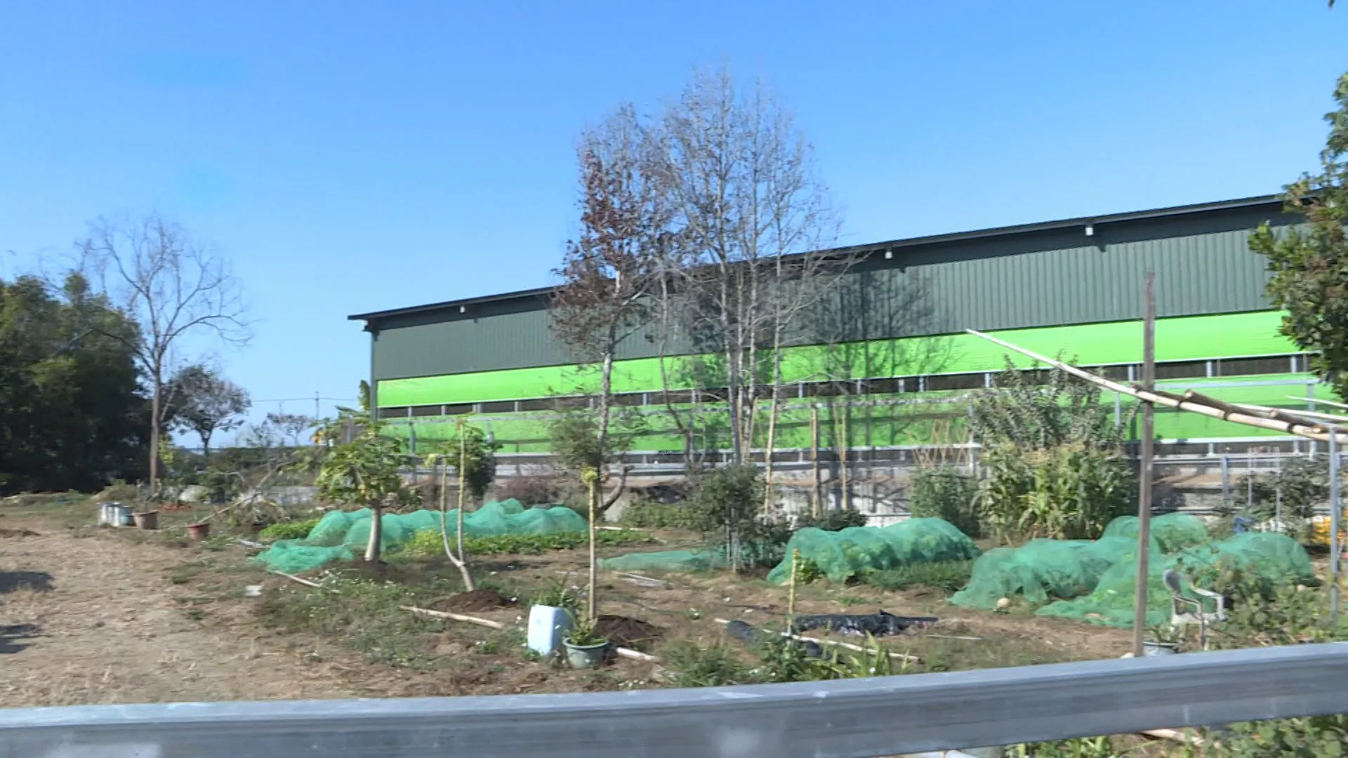 ฟาร์มไก่ไข่แห่งหนึ่งในไทจง พบไก่ตายผิดปกติ ยืนยันติดไข้หวัดนก