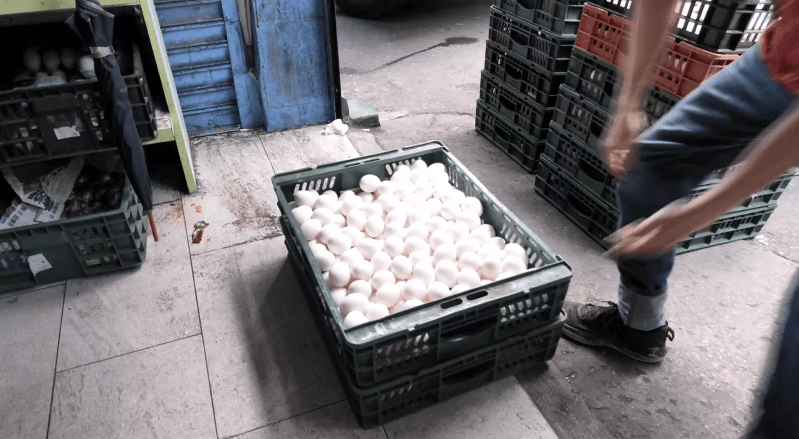 7月起一定規模的餐飲業 愛用有溯源碼洗選卵