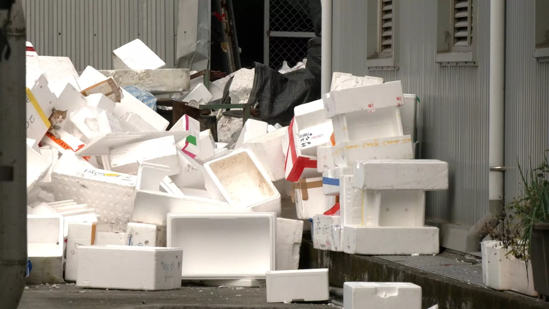 อุบัติเหตุในที่ทำงาน สาววัย 17 ถูกดูดเข้าไปในเครื่องบดโฟม เสียชีวิต