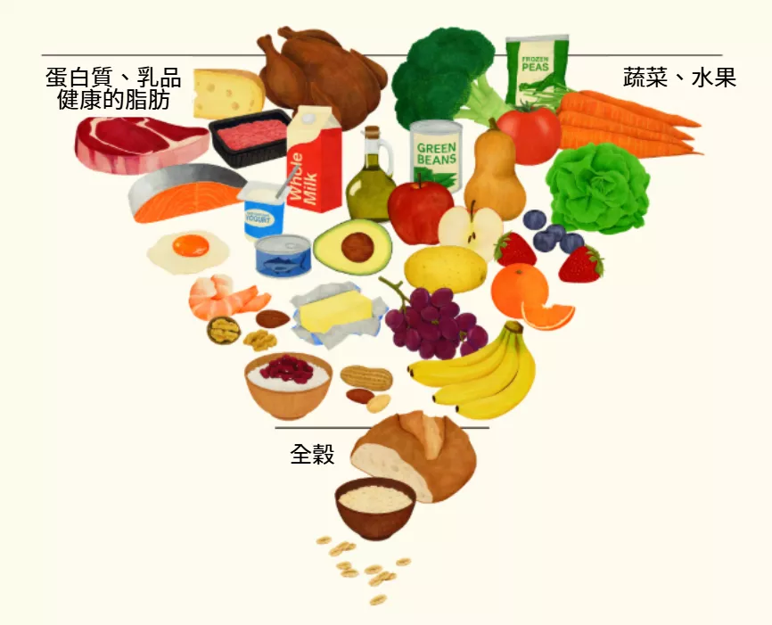 倒三角形圖示顯示餐盤比例