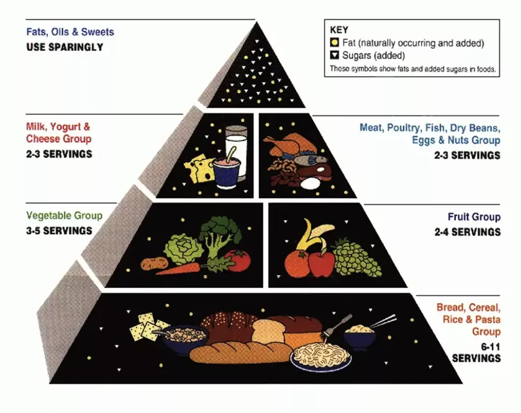 1992年推出的食物金字塔（Food Pyramid）