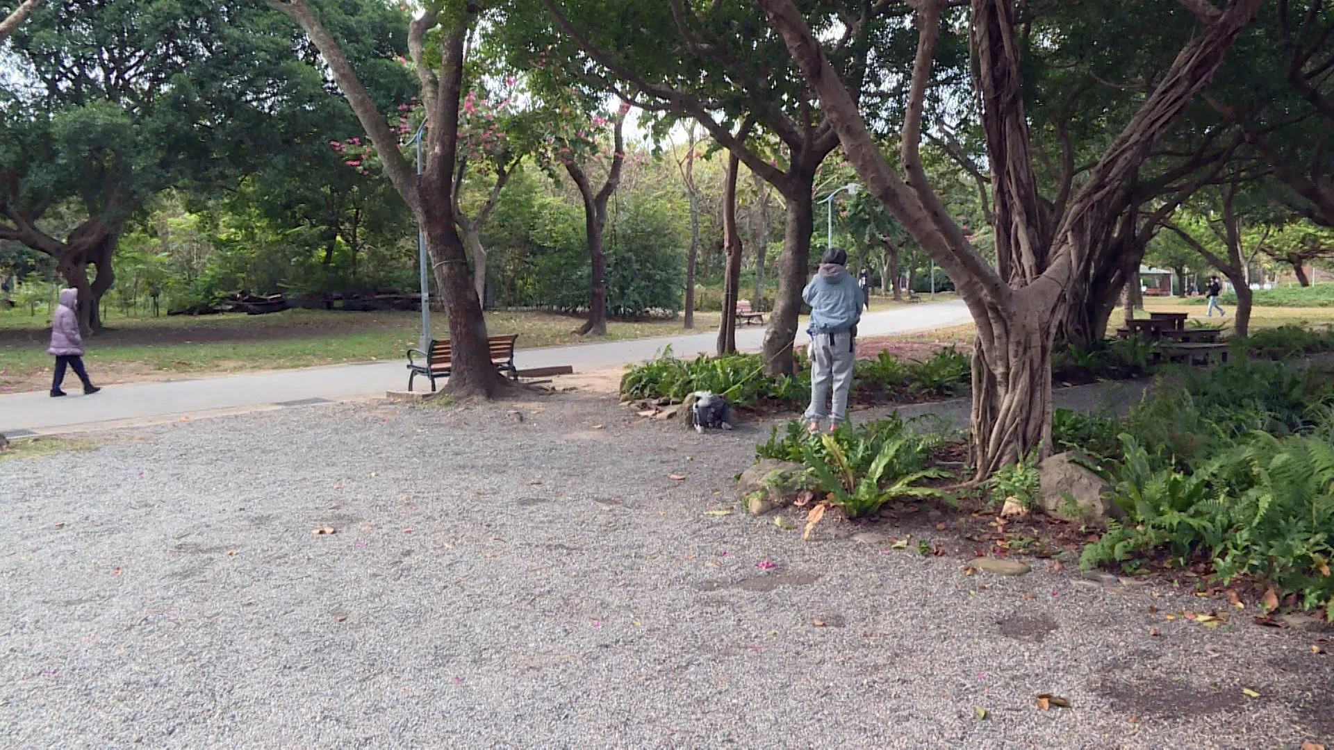 เช้านี้หนาวจัด หม่าจู่ 5.4 °C ต.จงเหลียว หนานโถว 7.1 °C