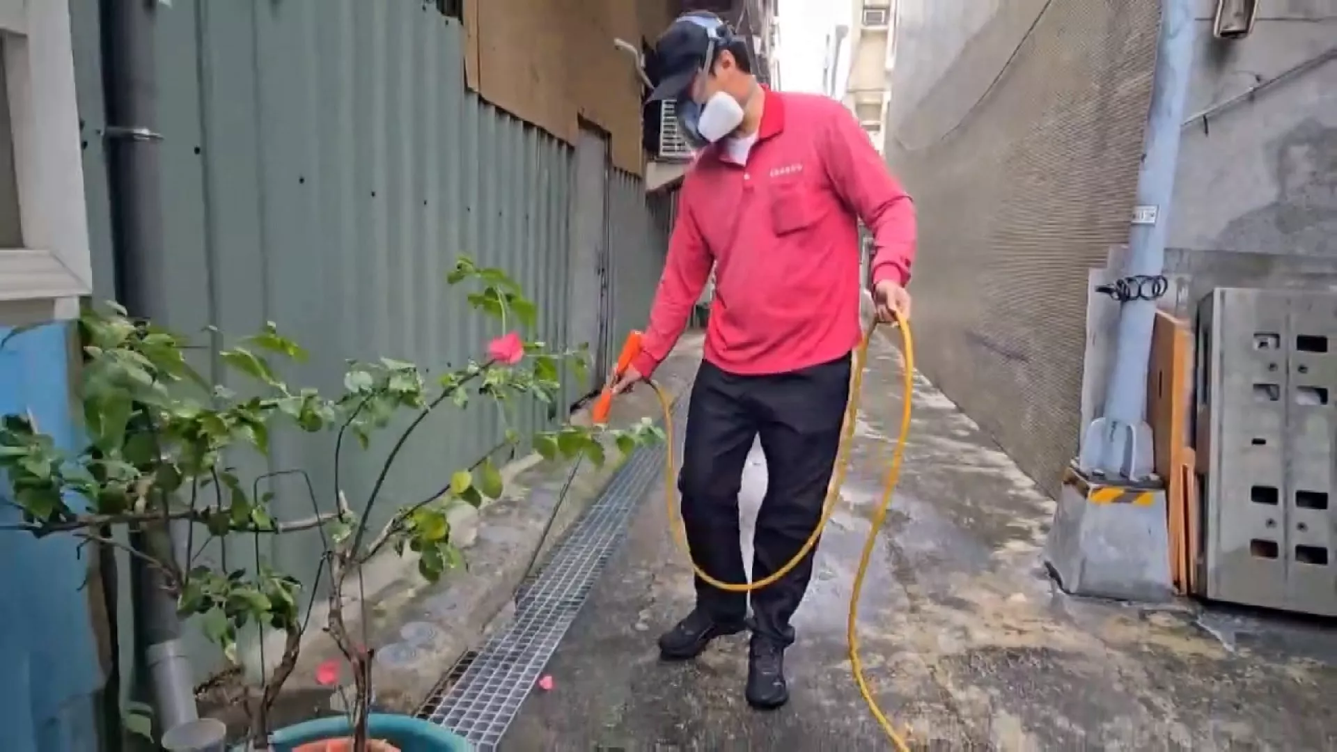 Cao Hùng, Đài Nam ghi nhận ca sốt xuất huyết nhập cảnh đầu tiên