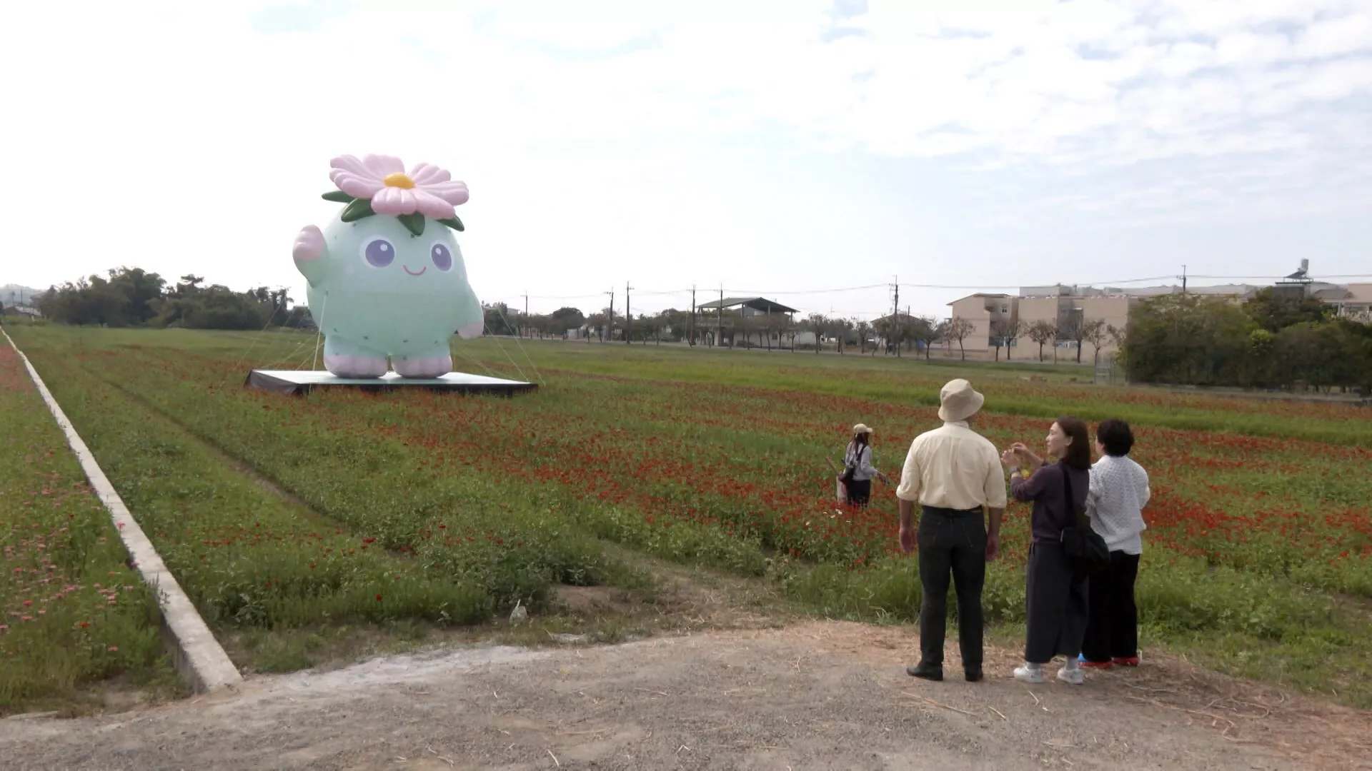 Bunga di Ladang Meinong, Kaohsiung bermekaran, jadi hotspot turis selama Imlek