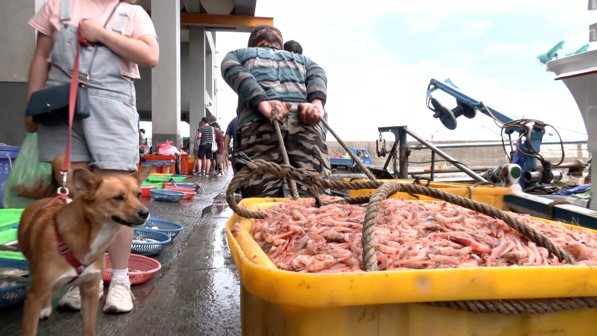 สหรัฐประกาศใช้มาตรา 301 ปมแรงงานบังคับ