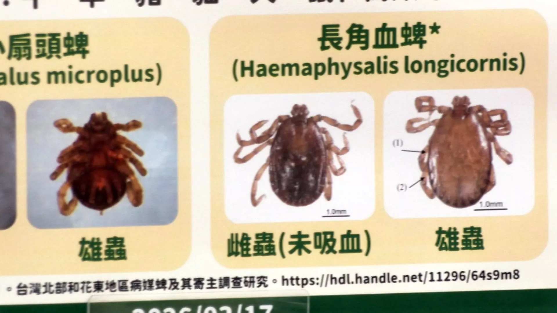 ไต้หวันพบผู้ป่วย SFTS คนแรกในรอบ 3 ปี อัตราการเสียชีวิต 30%