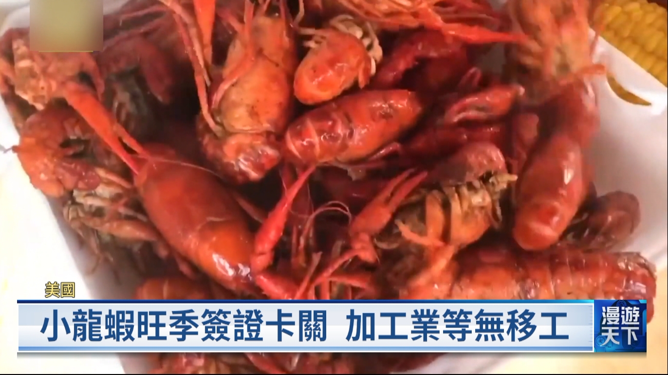 20260405 漫遊天下 美國小龍蝦旺季 歐美巧克力彩蛋銷售潮 F1最新王者義國19歲車手