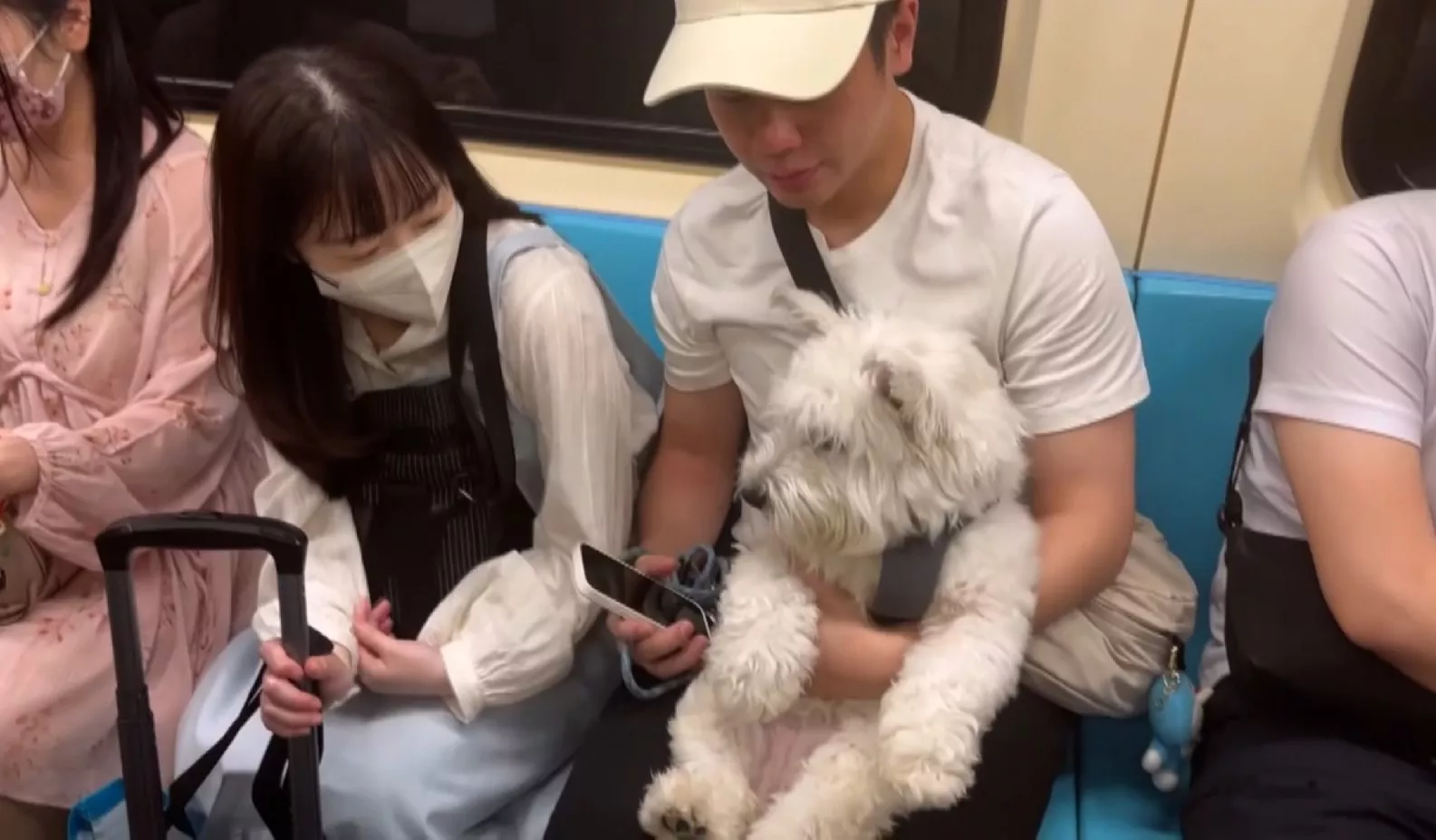 國際寵物日 北捷「友善列車」、狗仔毋免關籠仔