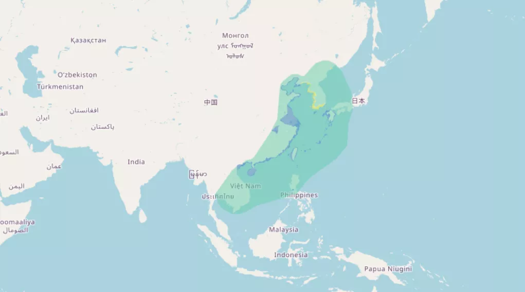 黑面琵鷺分布圖（圖／國際鳥盟）
