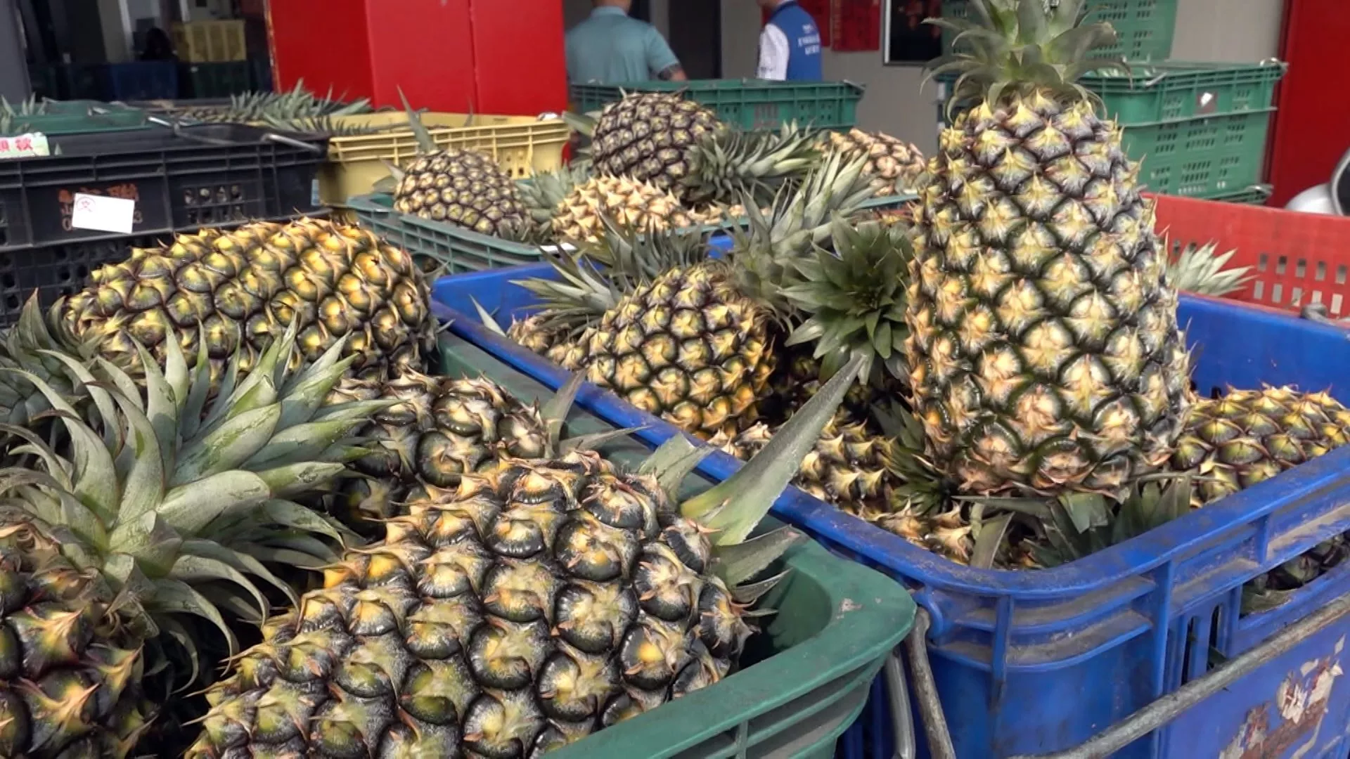 หยุนหลินจัดพื้นที่ดำเนินการรีไซเคิลเศษสับปะรด