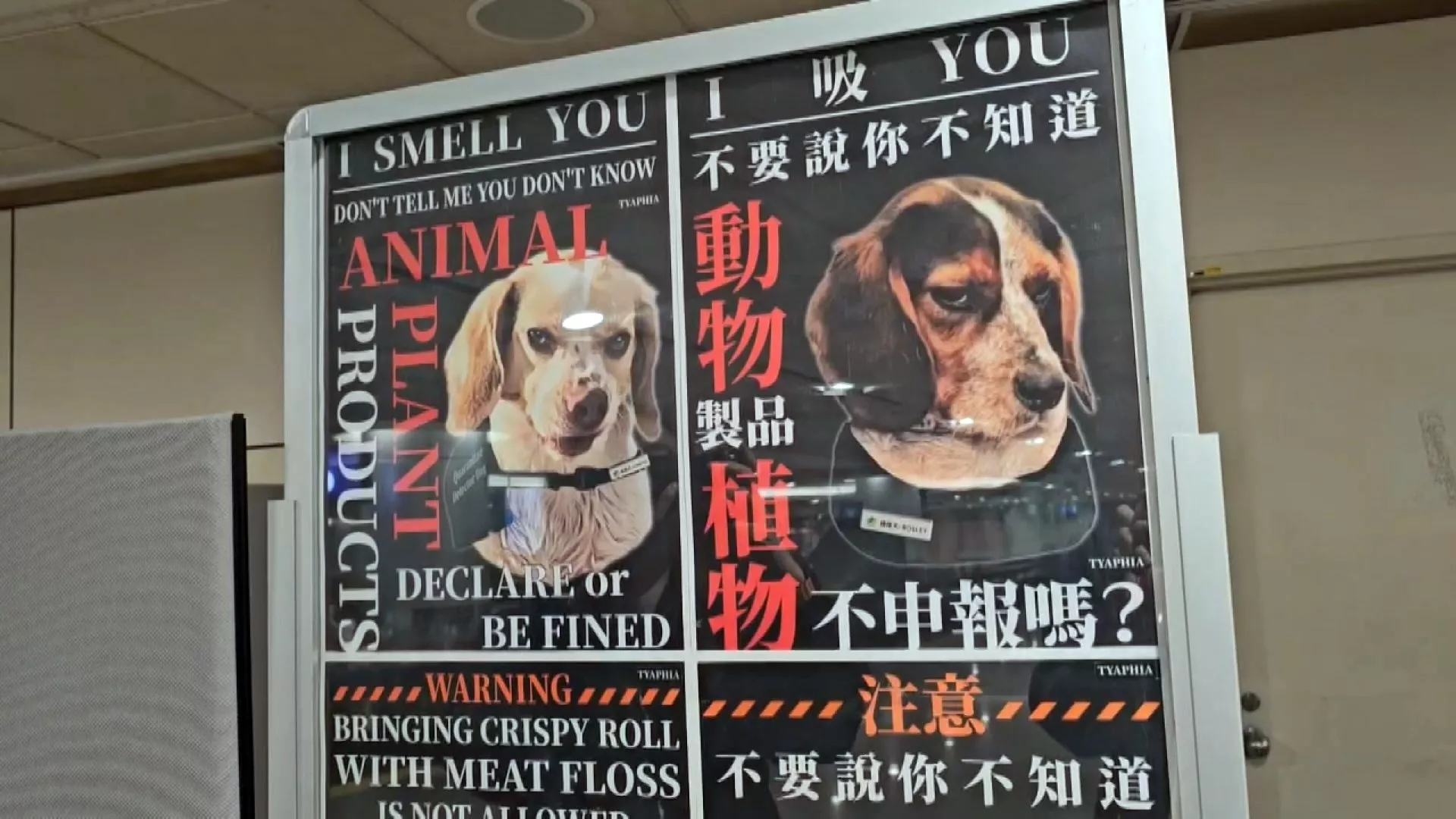 Áp phích gây bão của những "siêu thám tử" 4 chân tại sân bay