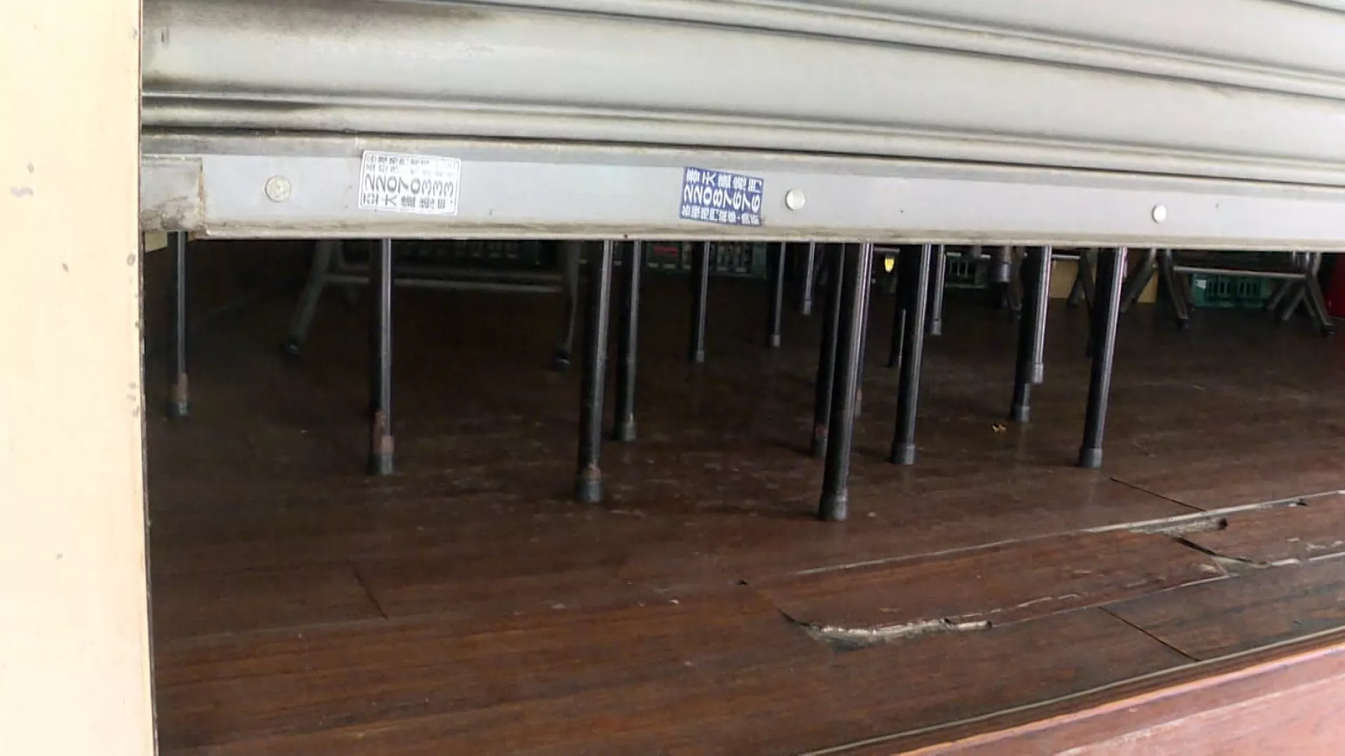 Đài Bắc: Tổng vệ sinh toàn thành phố để ngăn chặn nạn chuột