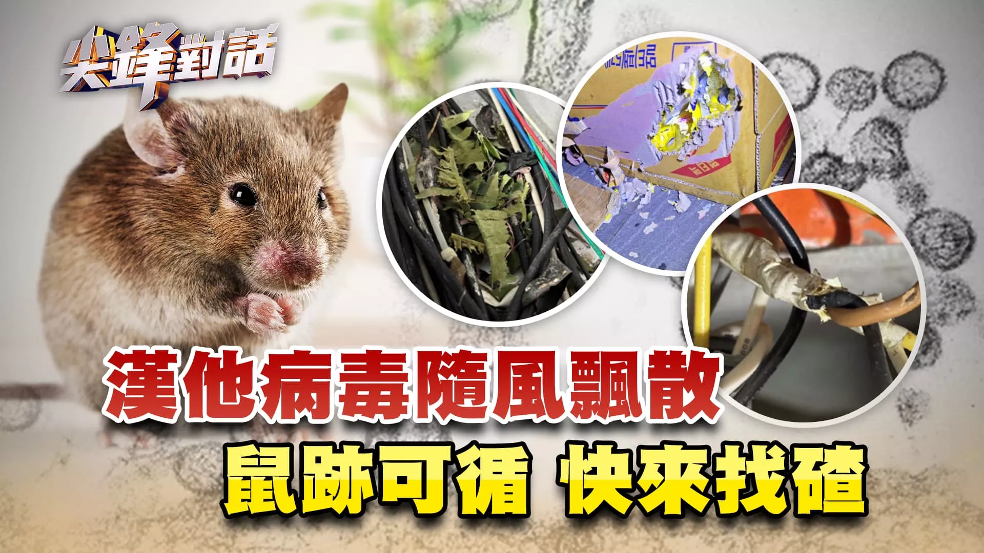 漢他病毒隨風飄散 鼠跡可循 快來找碴｜公共電視- 尖鋒對話