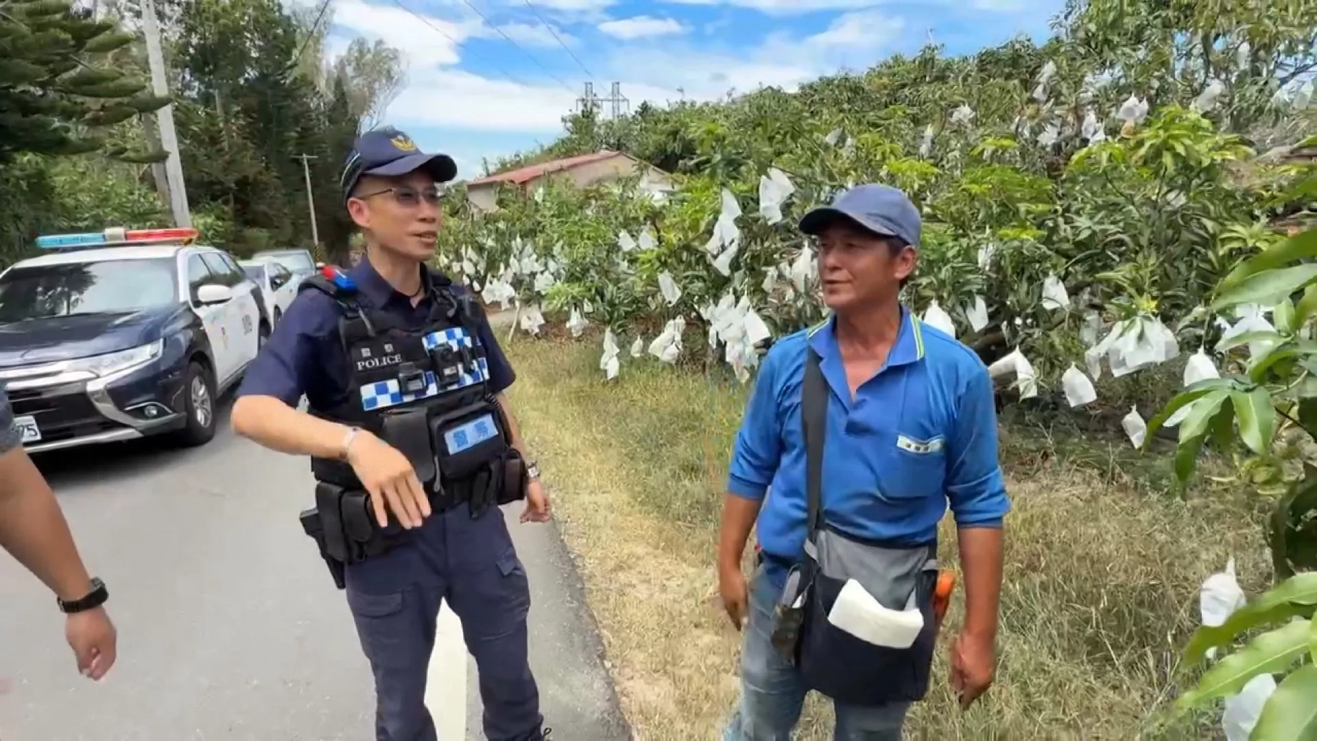 ใกล้ฤดูเก็บเกี่ยวมะม่วง ตร.จับมือชาวบ้านวางกำลังป้องกันหัวขโมย