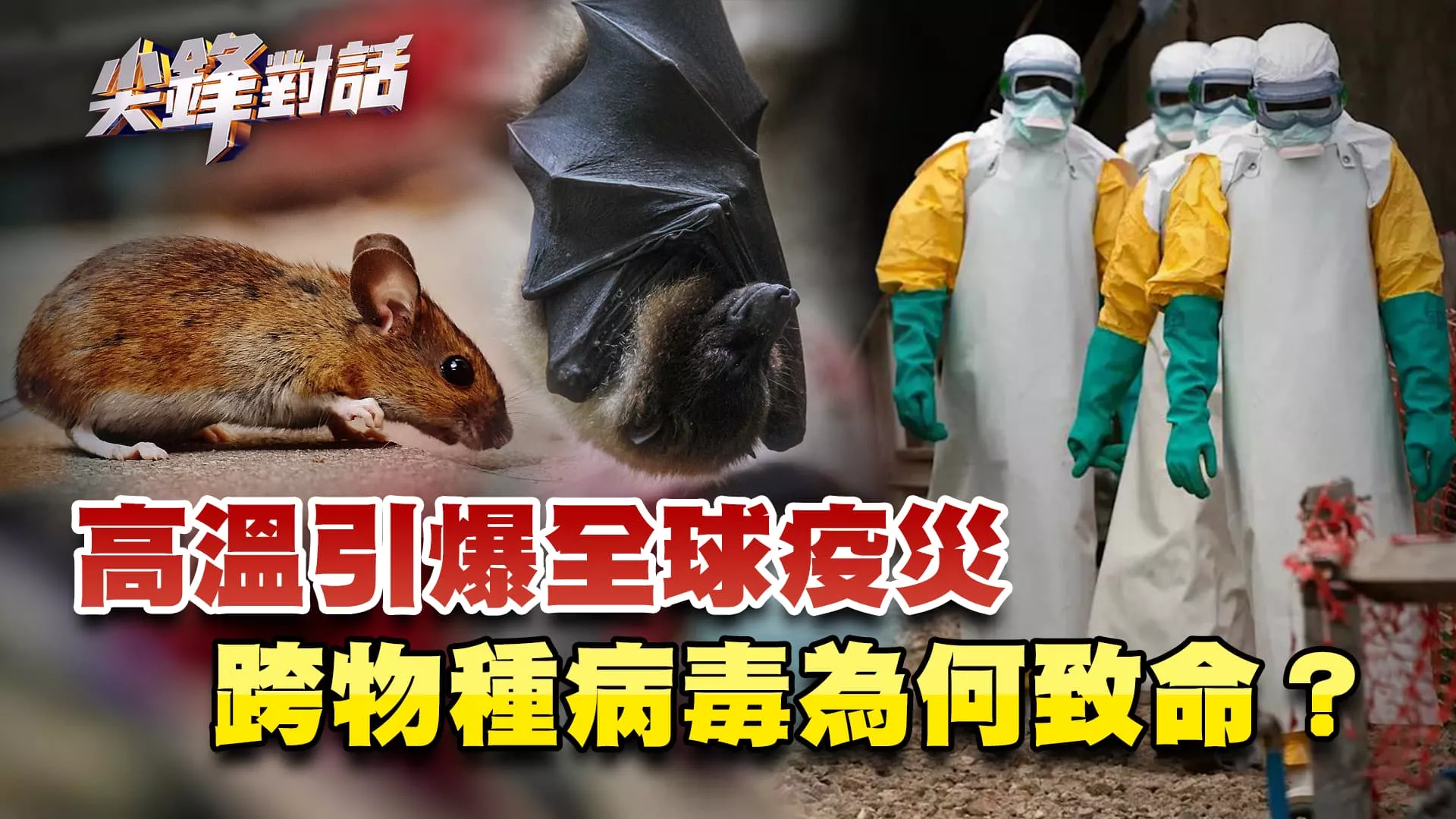 高溫引爆全球疫災 跨物種病毒為何致命？　▎公共電視 - 尖鋒對話