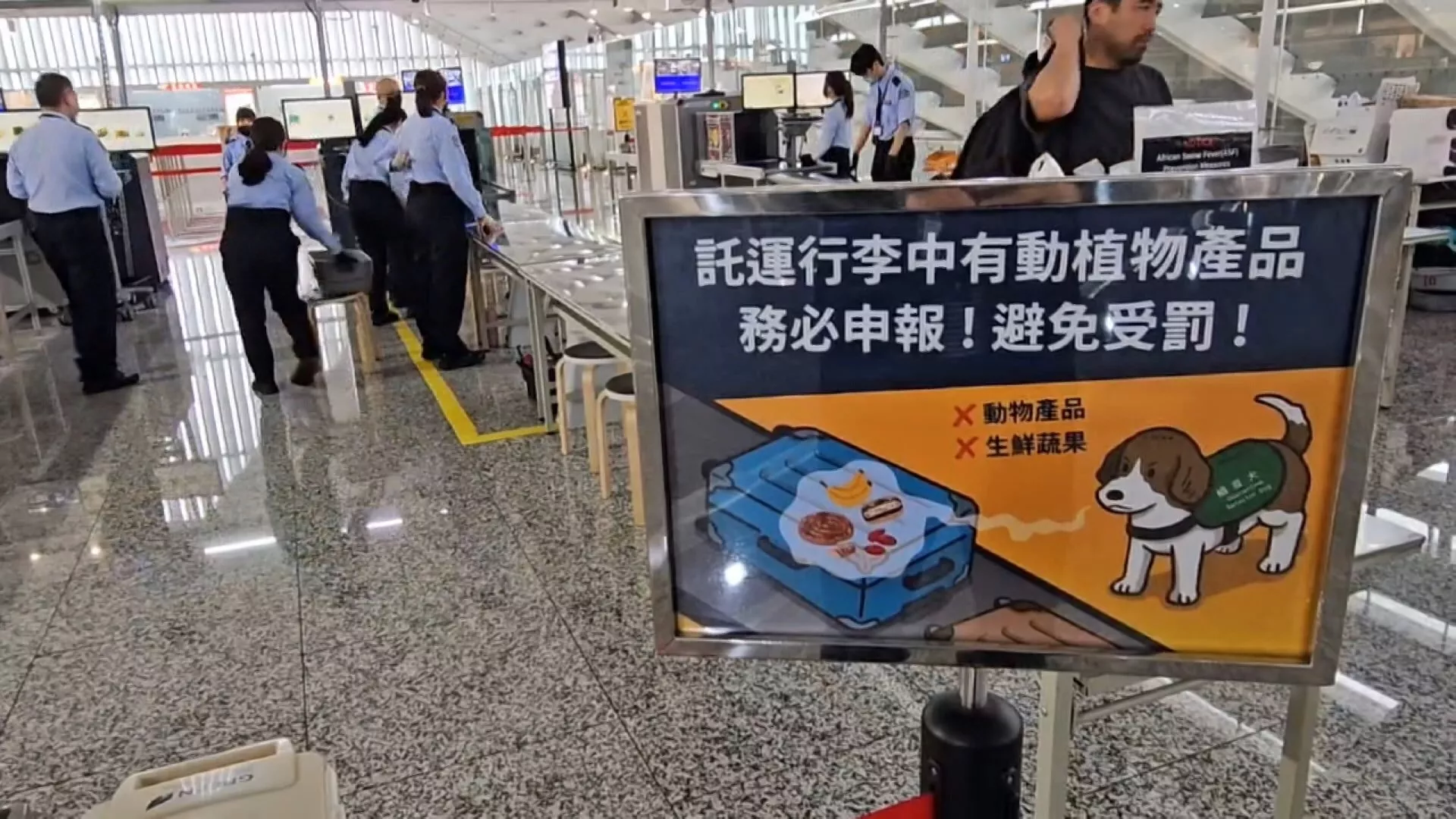 Siết kiểm dịch Tết Đoan Ngọ, cấm mang bánh ú nhân thịt nhập cảnh