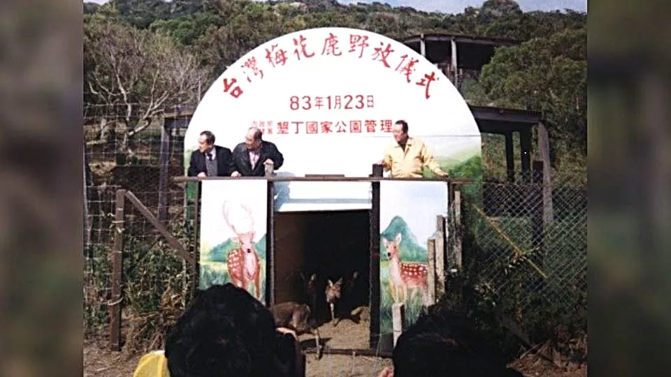 梅花鹿第1次野放儀式。(圖/墾管處)