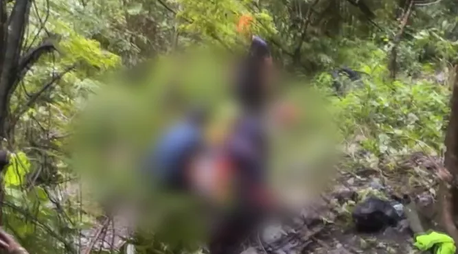 臺中蝴蝶谷石頭崩落來 4人OHCA.1人著傷