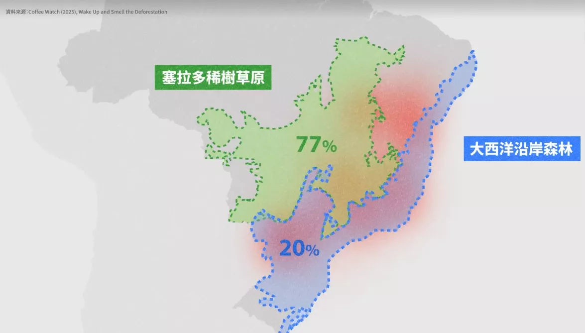 2001 至 2023 年間,巴西咖啡農場範圍內,就有約 74 萬公頃的森林流失。