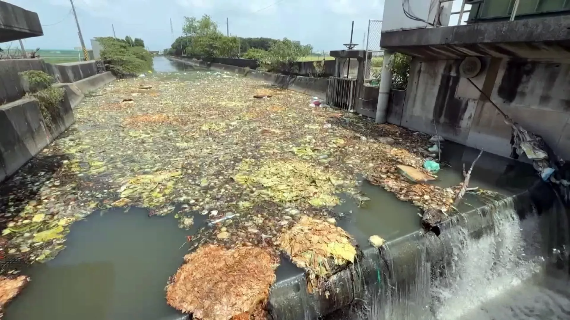 Saluran drainase di Erlun tersumbat sayuran busuk, timbulkan bau menyengat