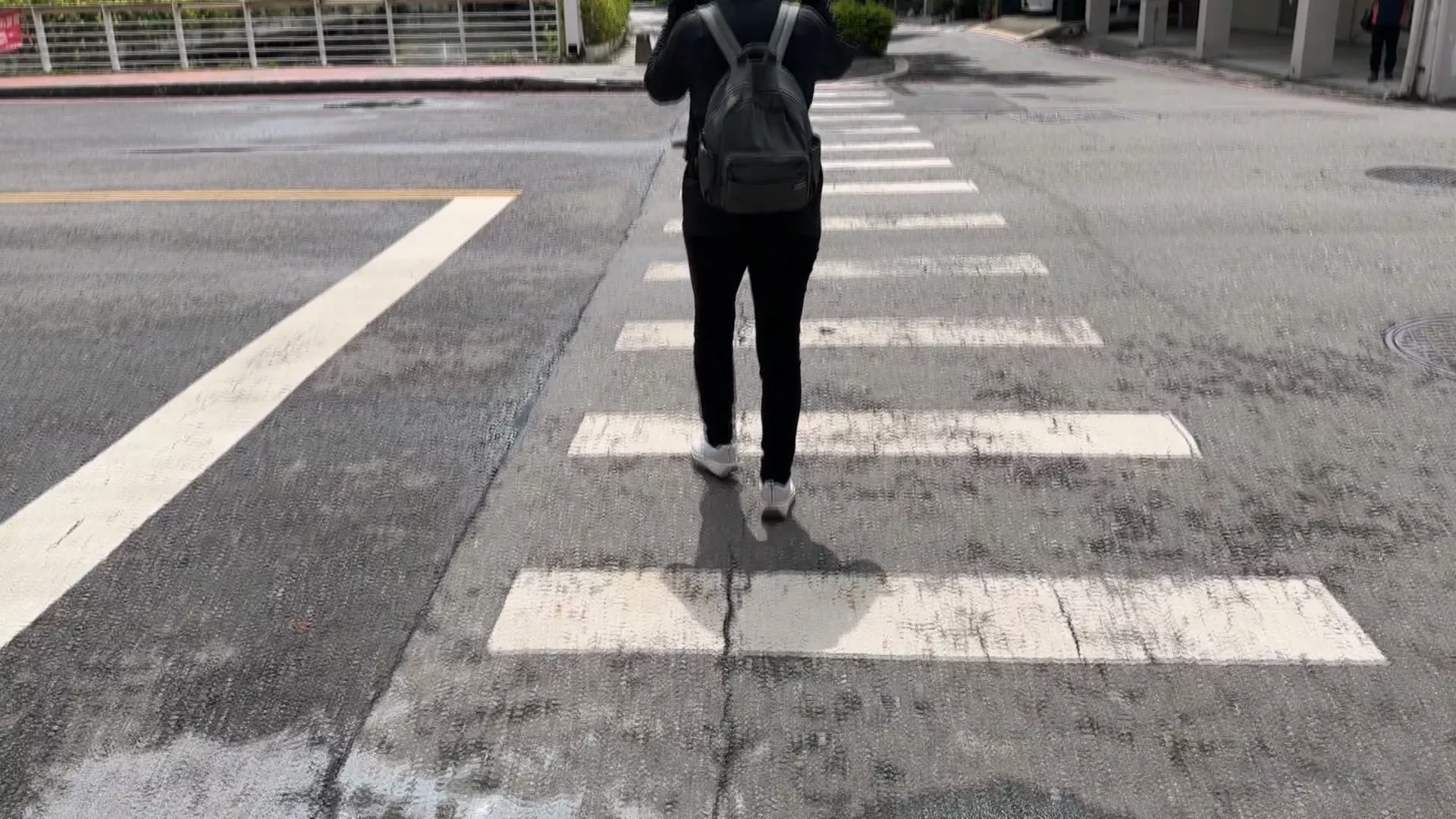 汽車路口停讓行人卻故意不走 警：可依道交條例開罰500元