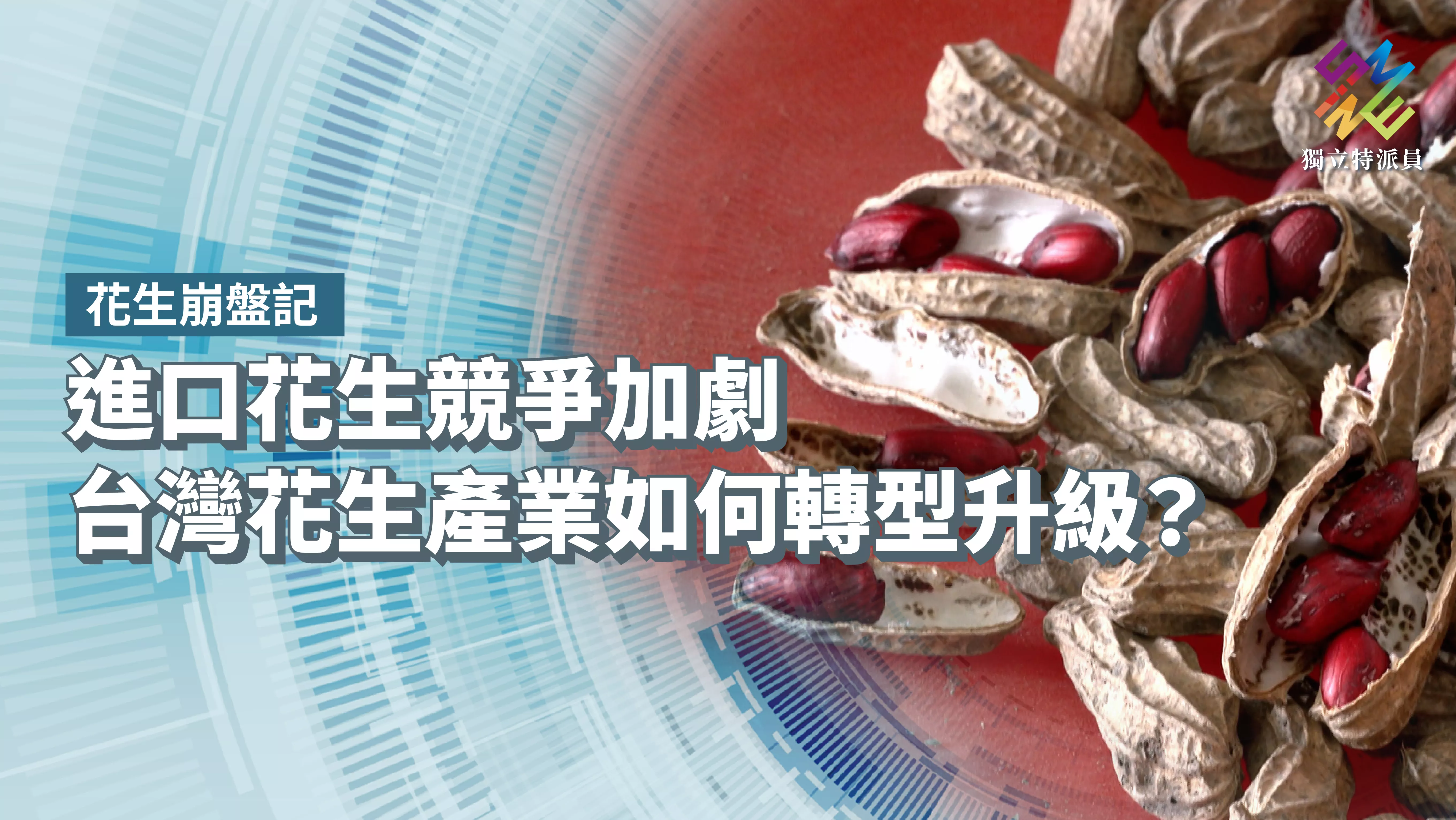 進口花生競爭加劇，台灣花生產業如何轉型升級？【獨立特派員】