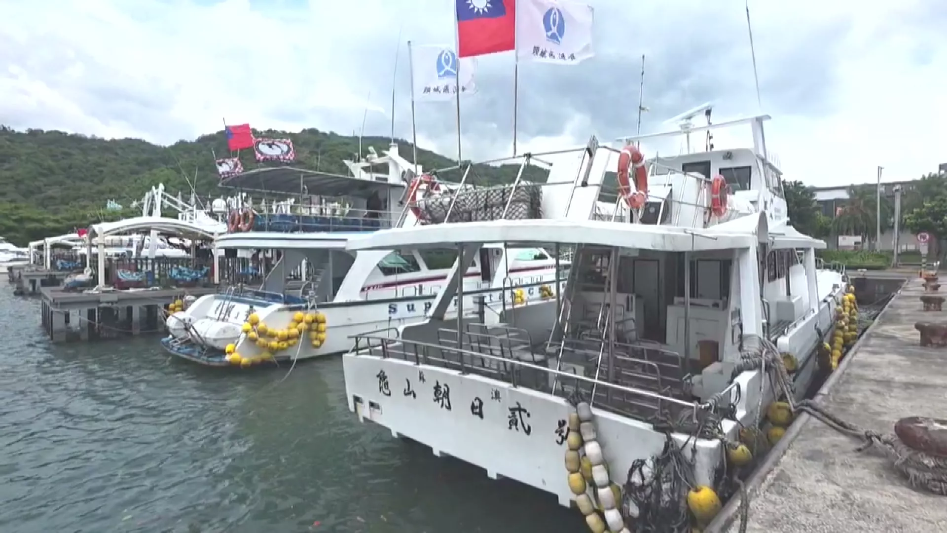 白海豚接近宜蘭颳起強風 烏石港賞鯨船全面停航