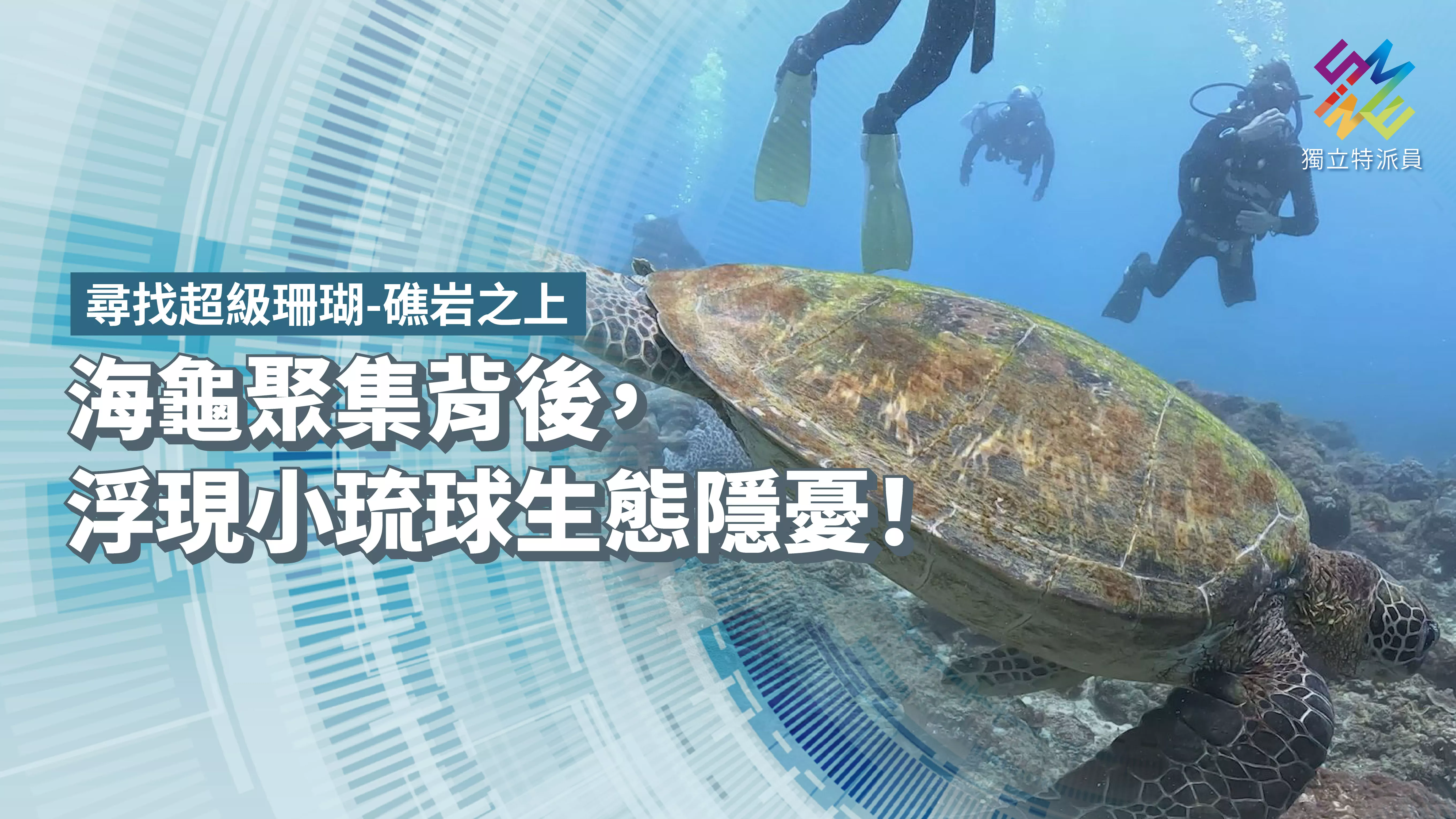 海龜聚集背後,浮現小琉球生態隱憂!【獨立特派員】