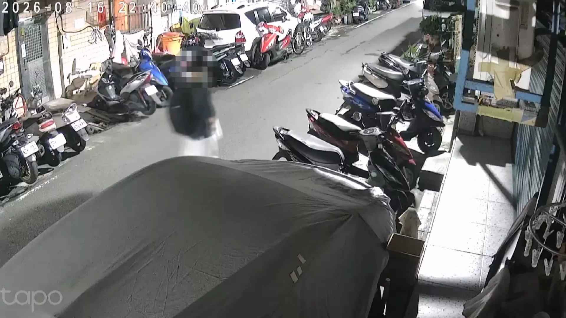 暗夜持鐵鎚攻擊遊蕩貓致重傷 三重男子涉違動保法遭送辦