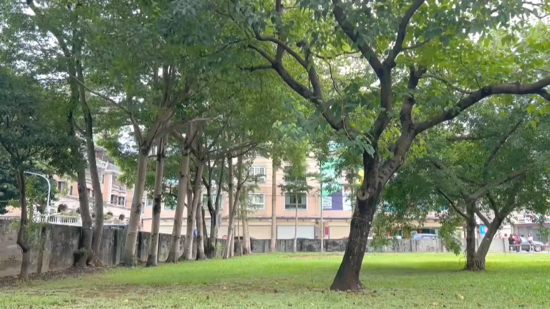 桃市府擬在馬祖新村蓋活動中心 居民憂破壞眷村景觀
