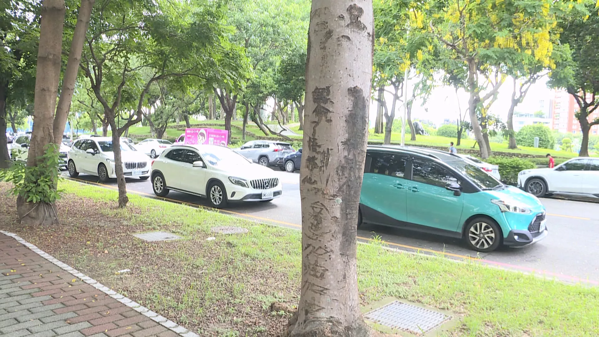 台中豐樂停車場整排樹遭刻字 停管處稱將依法究責