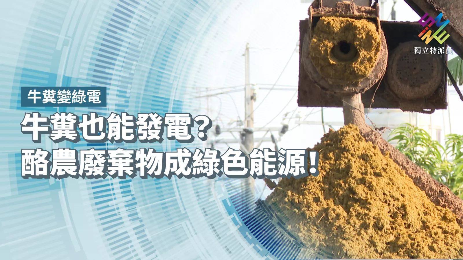 牛糞也能發電？酪農廢棄物成綠色能源！【獨立特派員】