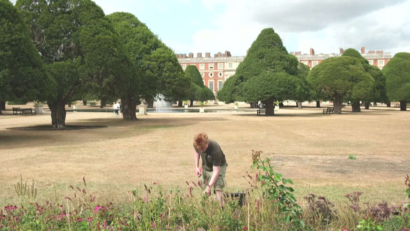 英國歷史莊園難敵高溫乾旱 園丁改用耐旱植物守護花園樣貌