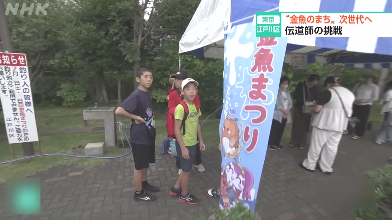 東京江戶川區夏季「金魚祭典」 延續半世紀吸引萬人到訪