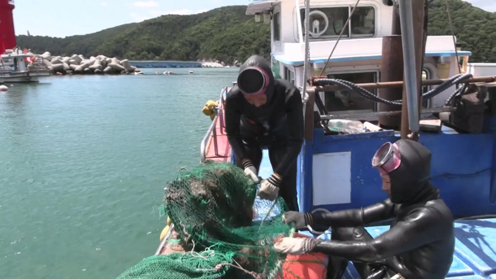 南韓海女列無形文化遺產 30多歲上班族拍片紀錄轉職歷程