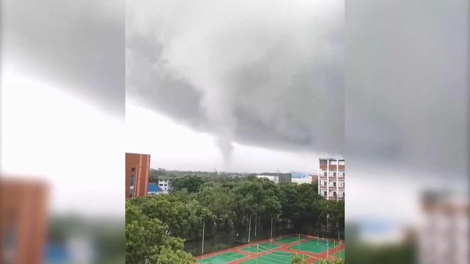 龍捲風襲海南萬寧市 大量樹木遭強風吹斷