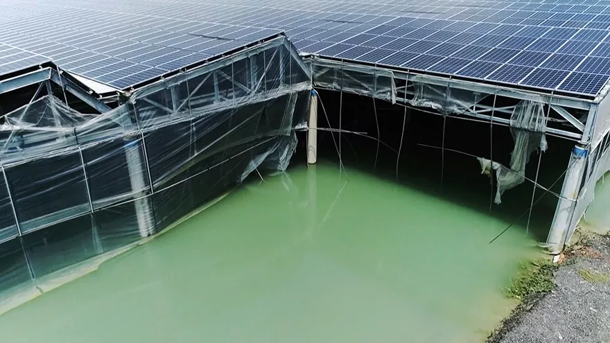 綠能設施出問題｜從停擺的光電案場到起火風機，後續維護誰來管？【我們的島】