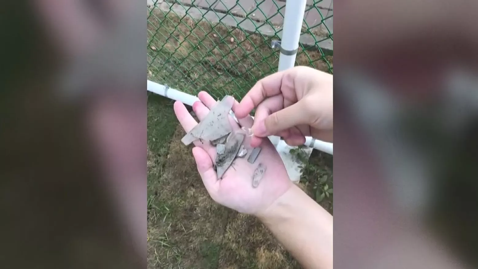 民眾控草皮碎玻璃釀愛犬受傷 彰化寵物公園公告暫停開放