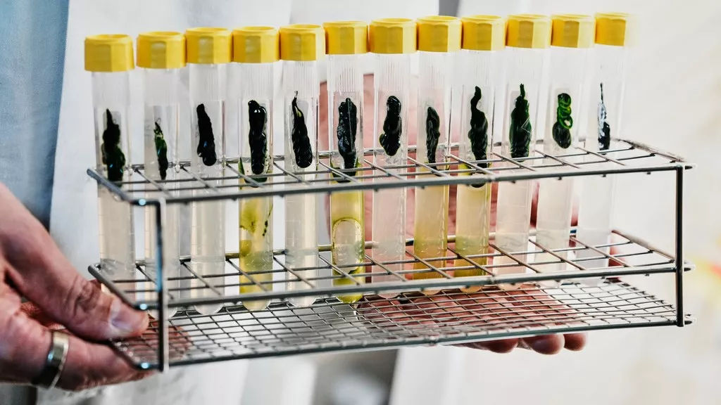 開拓光遺傳學為腦疾帶來曙光 美、德3學者獲諾貝爾生醫獎
