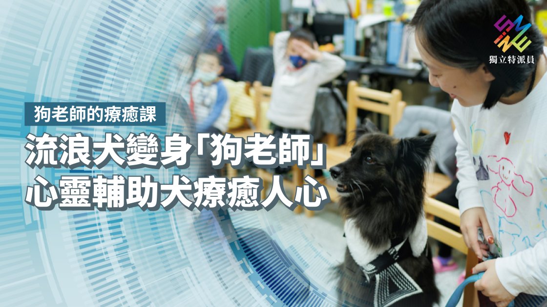 流浪犬變身「狗老師」，心靈輔助犬療癒人心【獨立特派員】