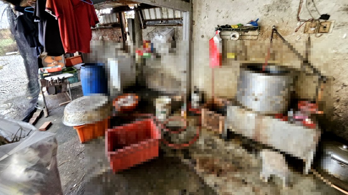 鹿港查獲非法屠宰場 疑販售狗肉將送檢釐清
