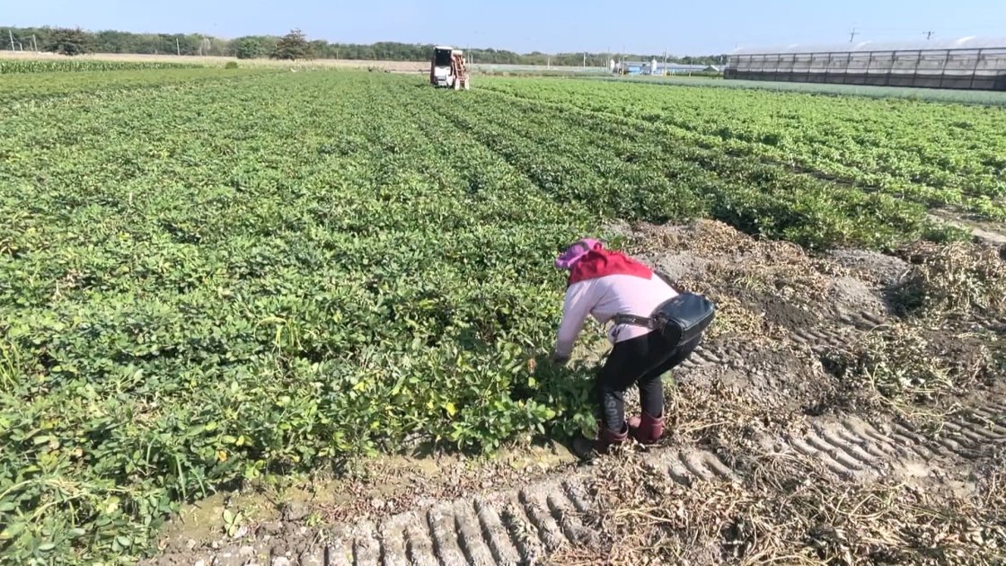 薔琵颱風釀全台農損約4.4億元 立委質疑中央救助標準