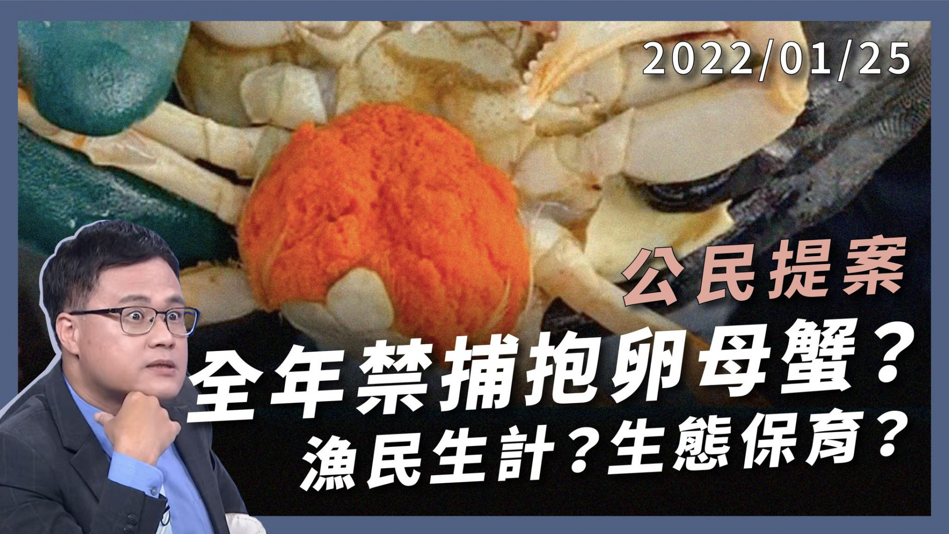 搶救抱卵母蟹 公民提案全年禁捕 環團：漁業永續不濫捕 漁民：生計保育要平衡！