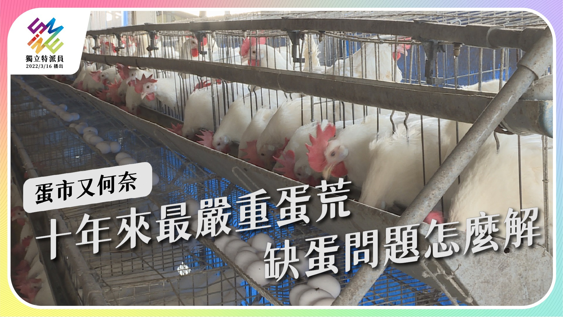 【蛋市又何奈？｜4/27 週三播出】