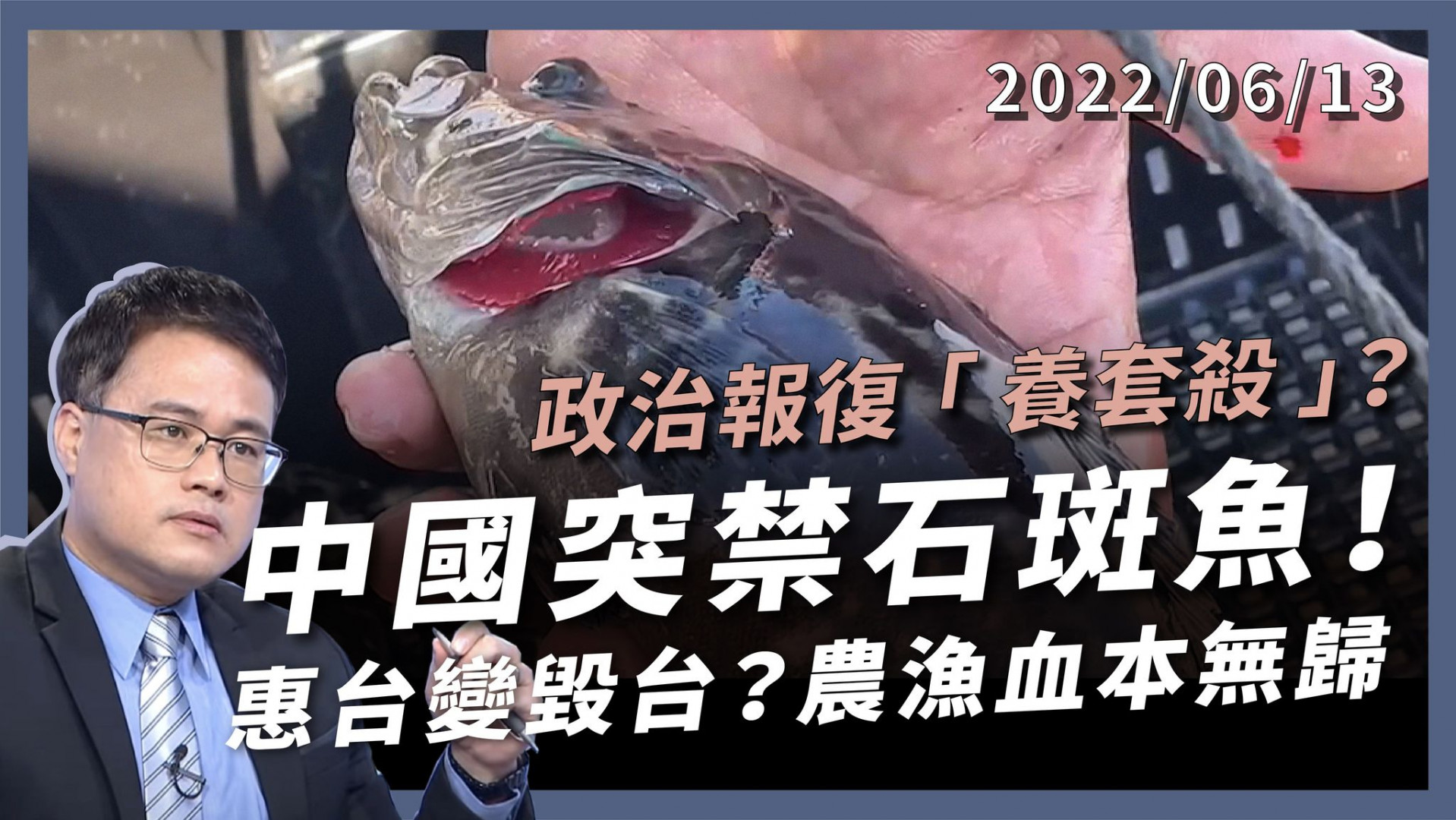 中國突禁石斑魚！政治報復養套殺？ 惠台變毀台！農漁血本無歸！過度依賴代價慘重！