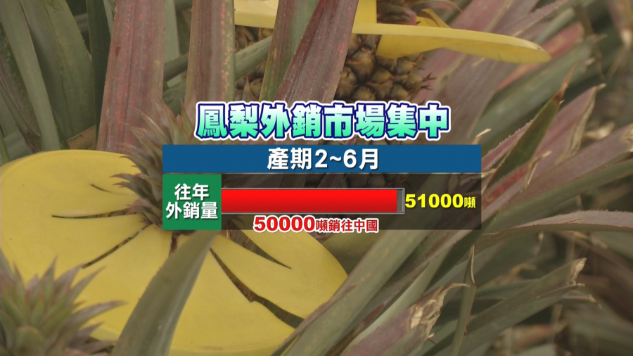 1581594805r.jpg