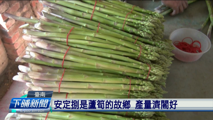 臺南安定過去是蘆筍故鄉 今產量沓沓減少 | 公視新聞網 PNN